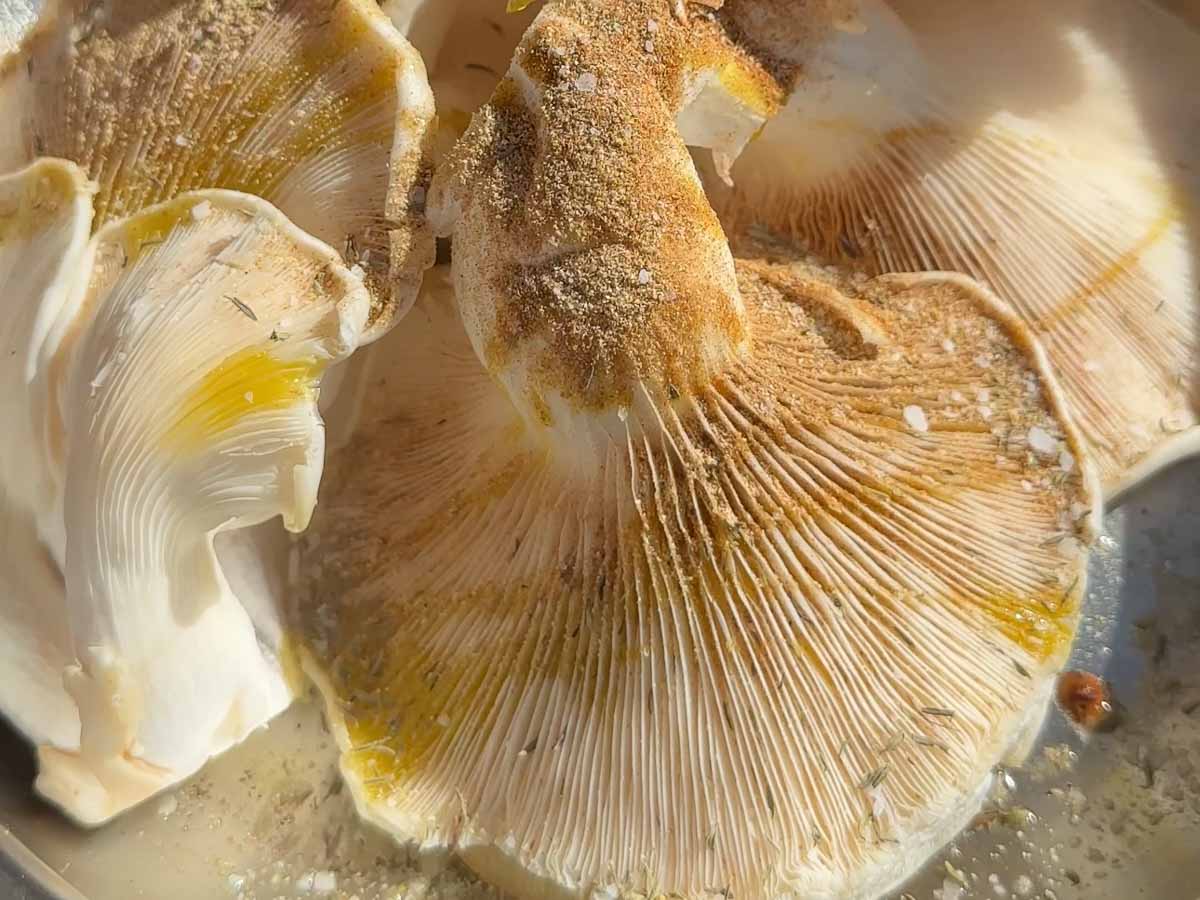 Mushroom Shawarma - im a foodie