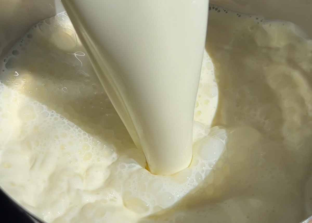 Adding full cream milk in a saucepan to make cottage cheese