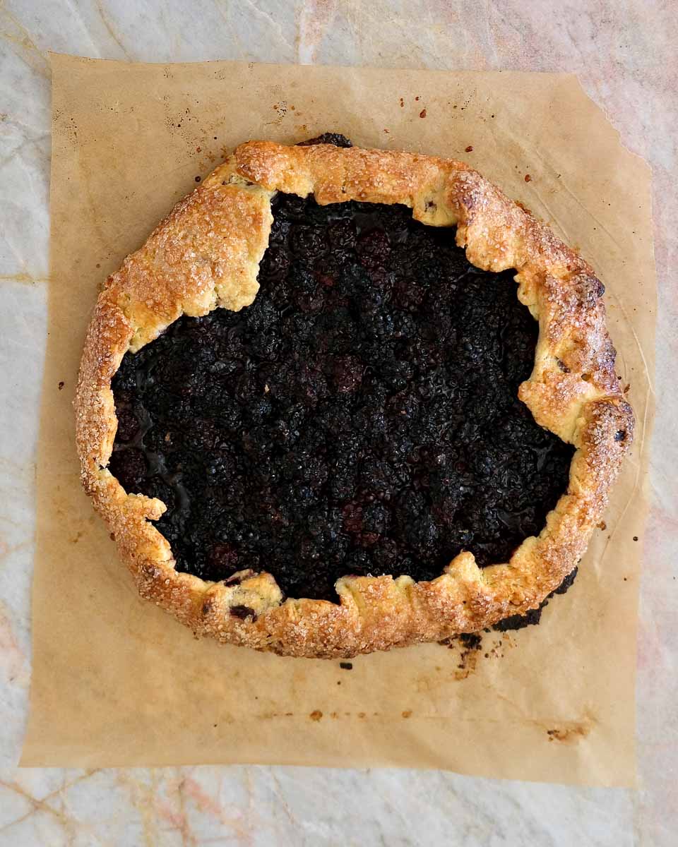 Freshly baked wild blackberry galette with golden flaky pastry and dark jammy blackberry filling.