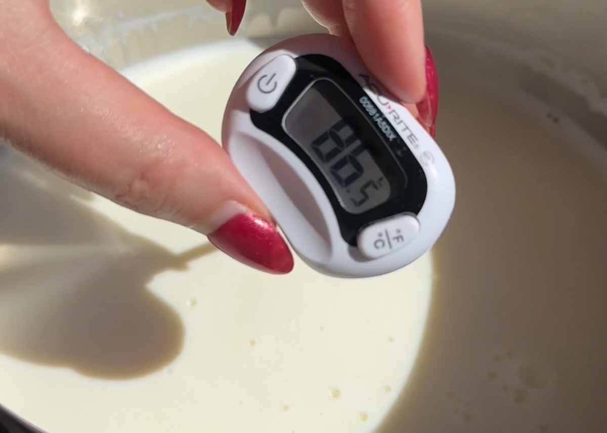 Heating full cream milk in a saucepan to make cottage cheese