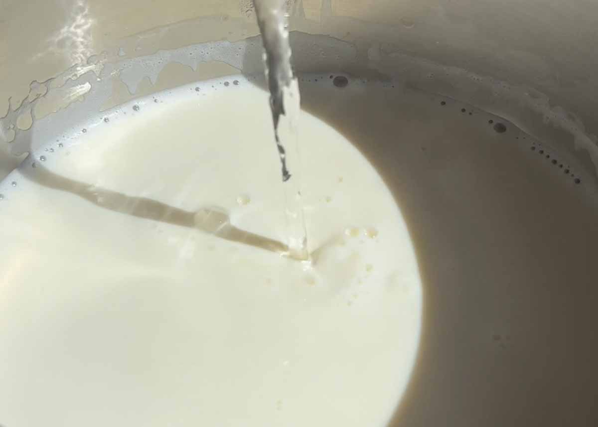 Milk separating into curds and whey after adding vinegar