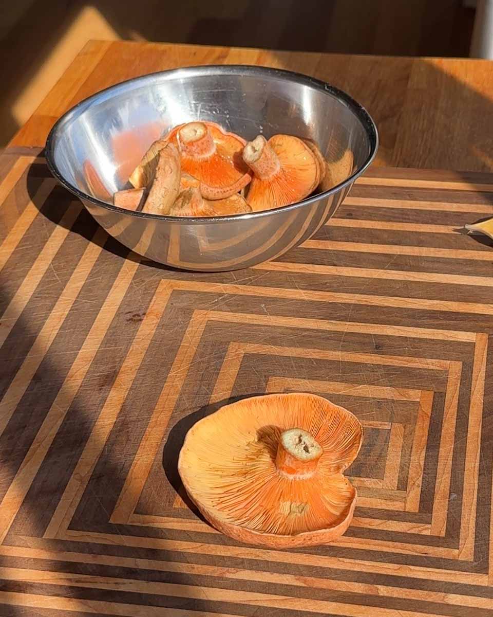pine mushrooms on a wooden board with whole mushrooms in a bowl ready for cooking
