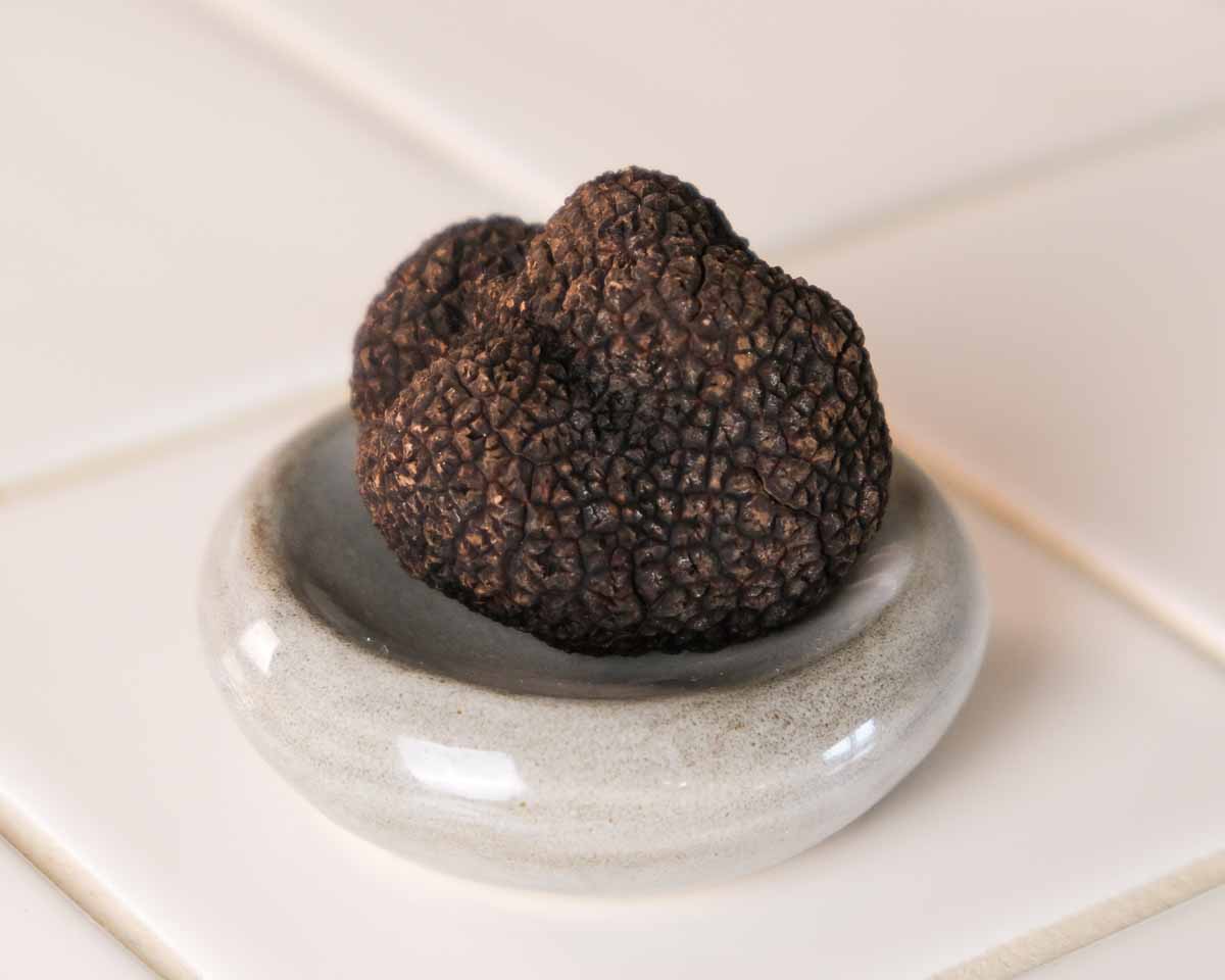 Australian black truffle